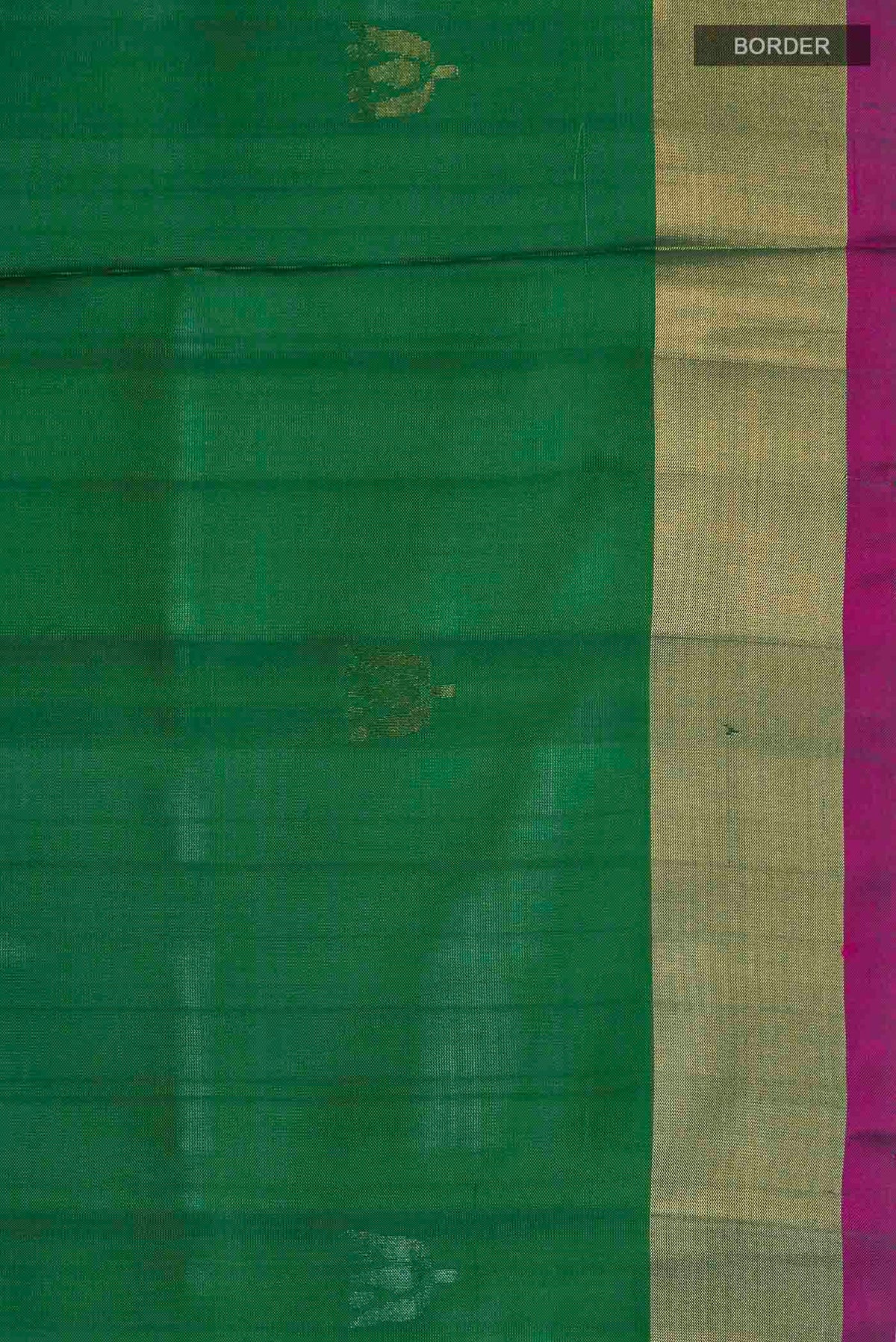 Border image of Green Uppada Silk Saree with Zari Butta on the body and Zari Border