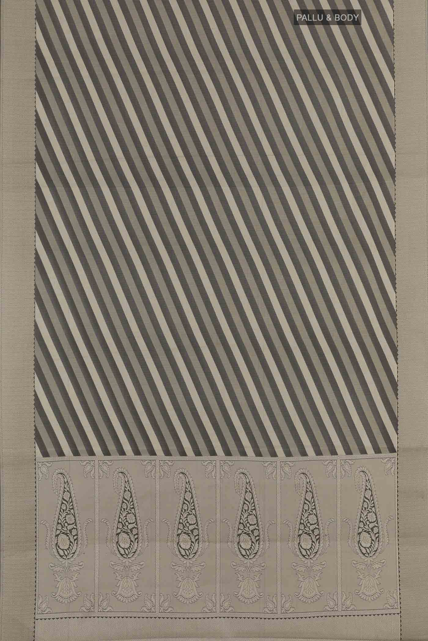 pallu body