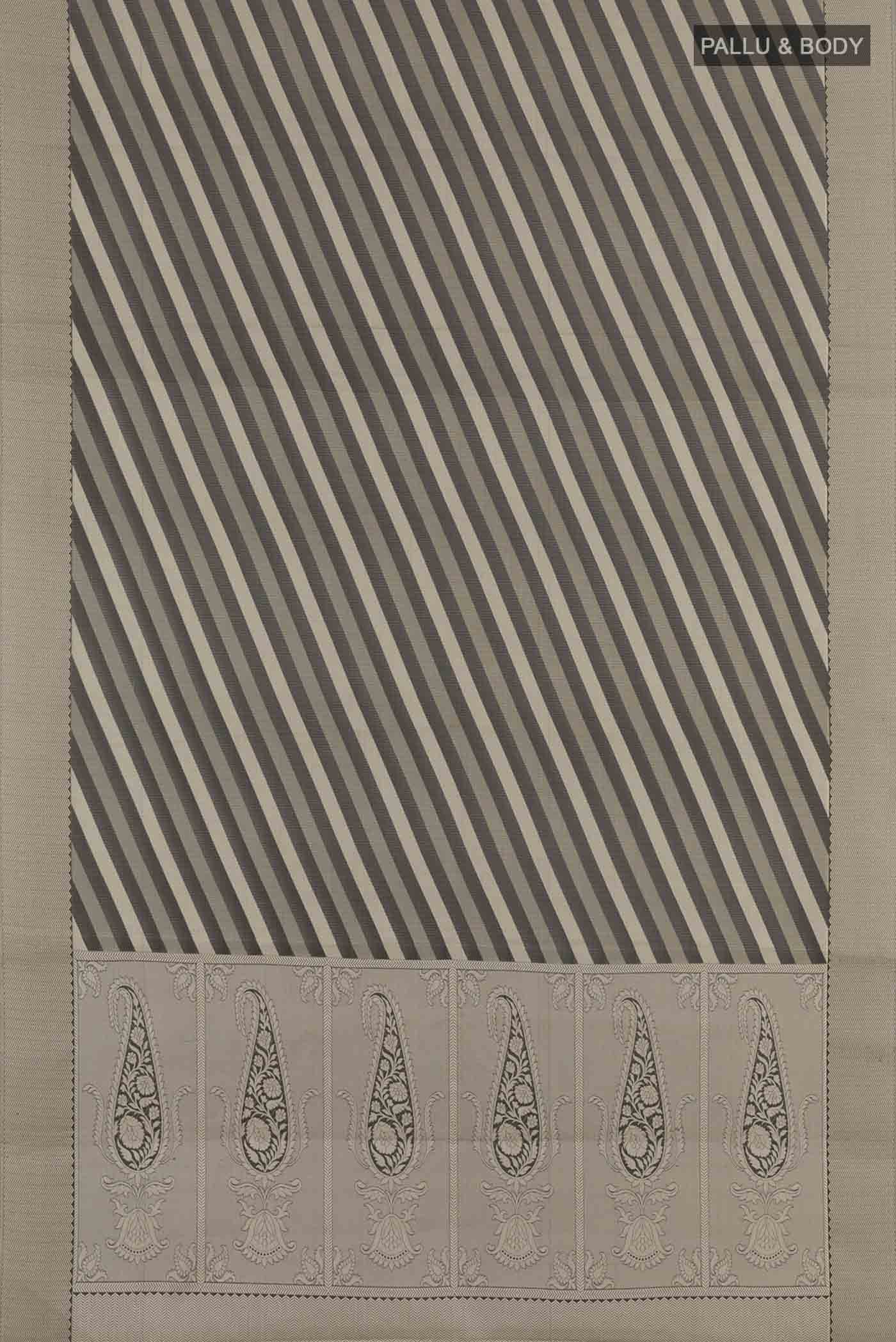 pallu body