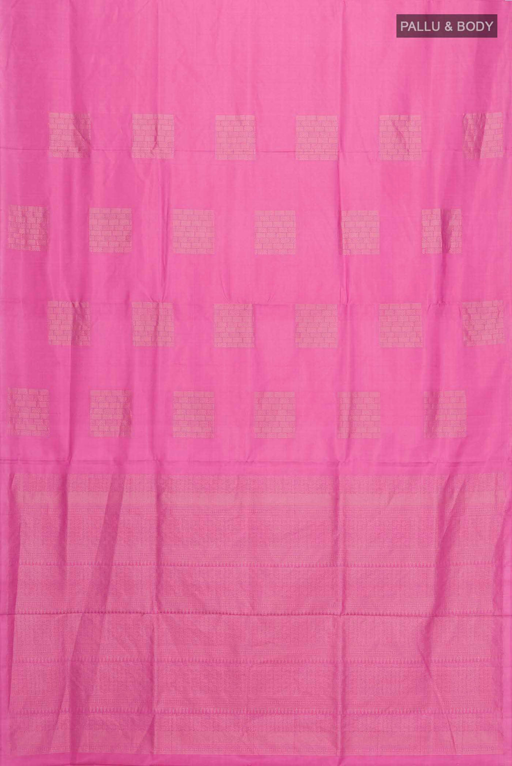 pallu body