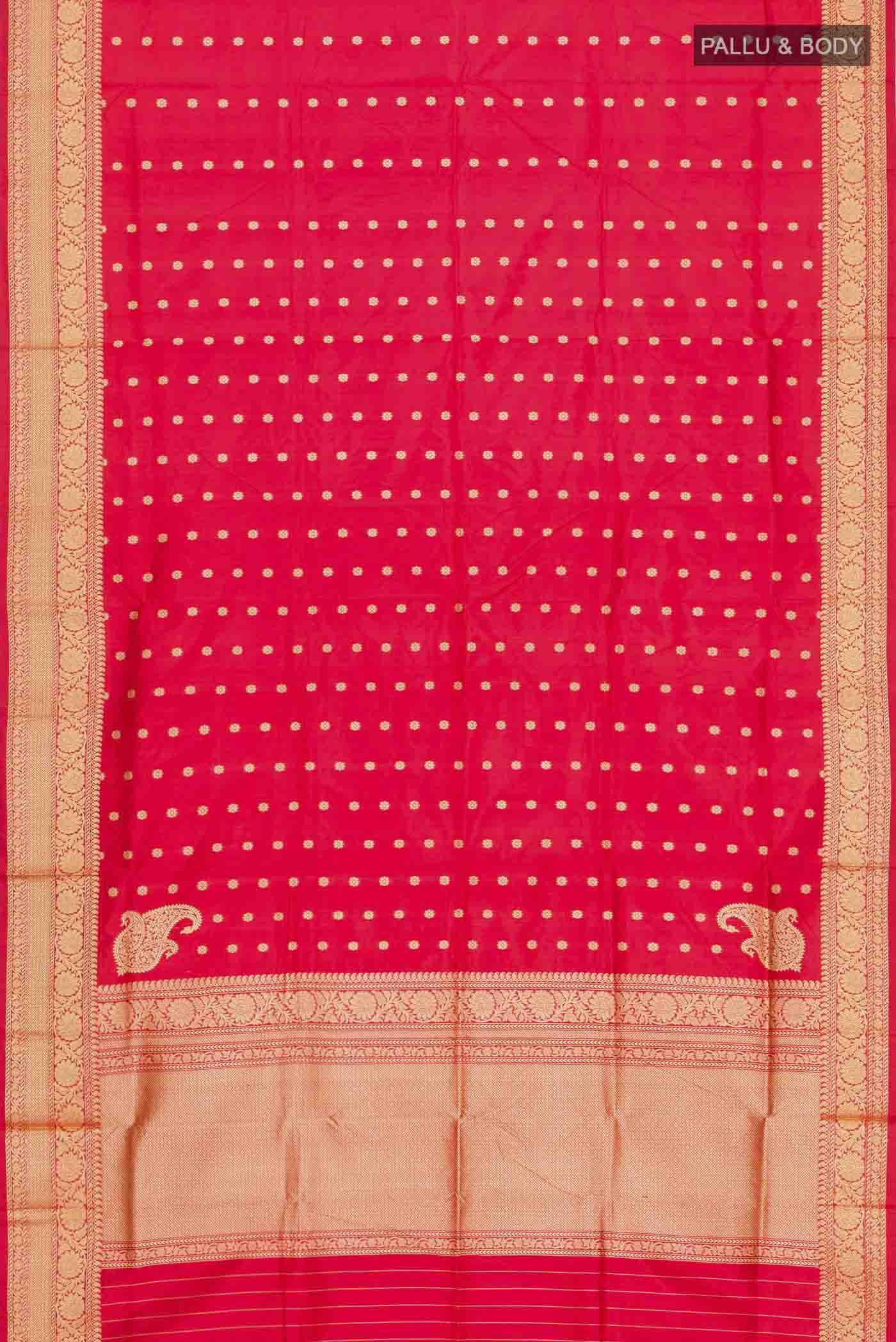 pallu body