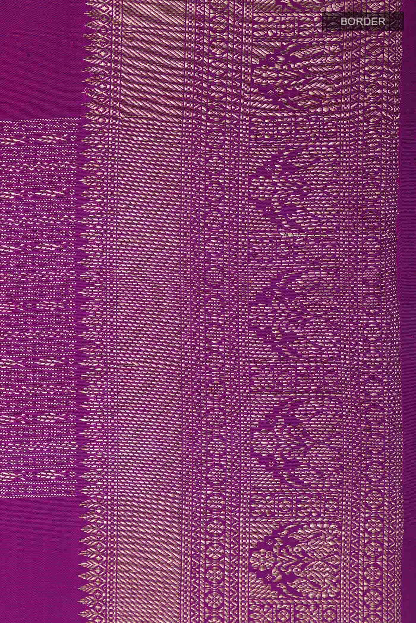 Border image of Purple Kanchipuram Silk Saree with Zari Butta on the body and Zari Border