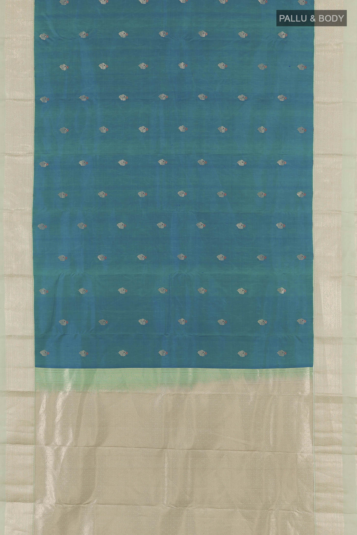 pallu body