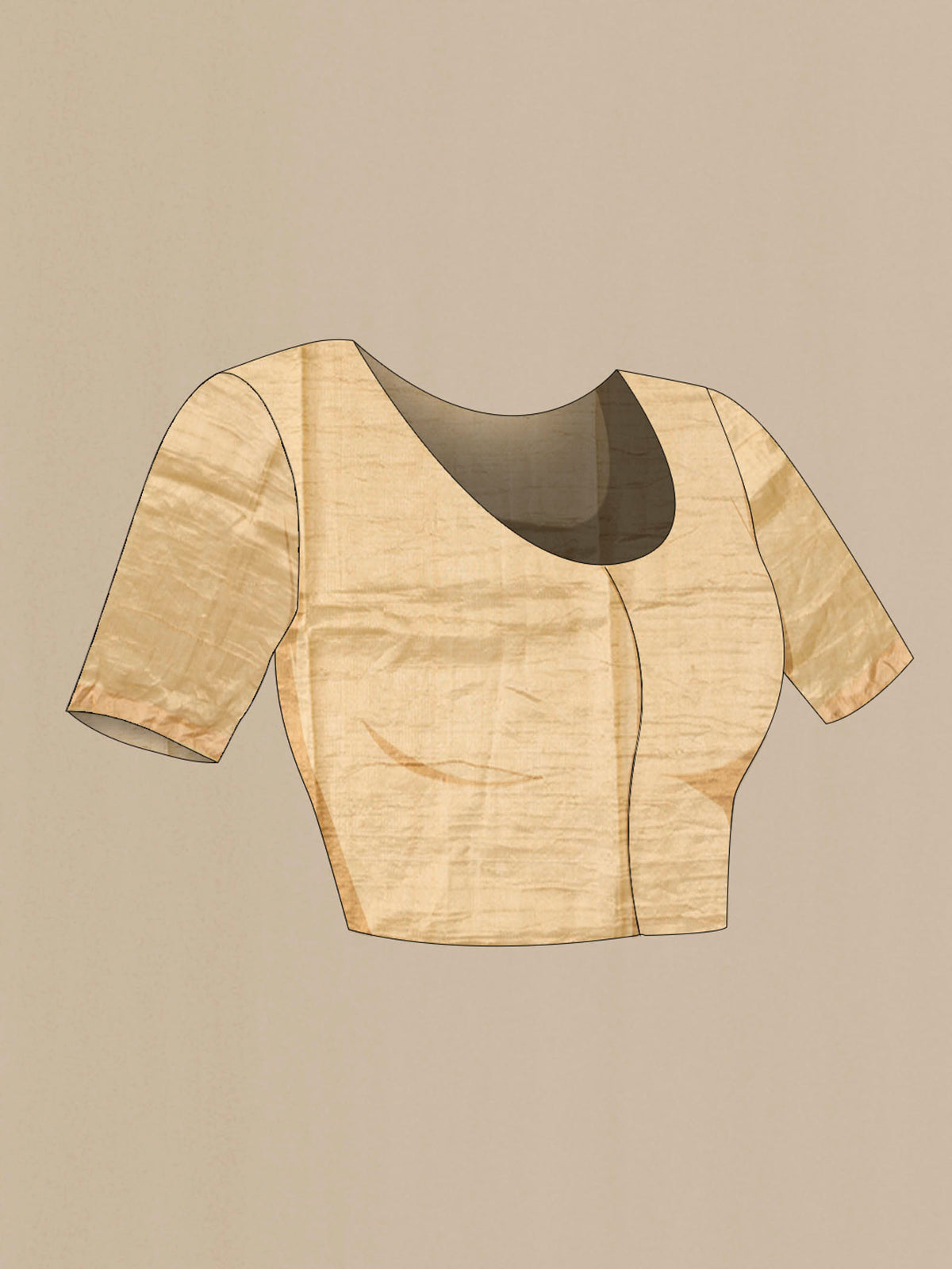 Close up image of the blouse of Beige Tussar Silk Saree with Embroidery on the body and Zari Border