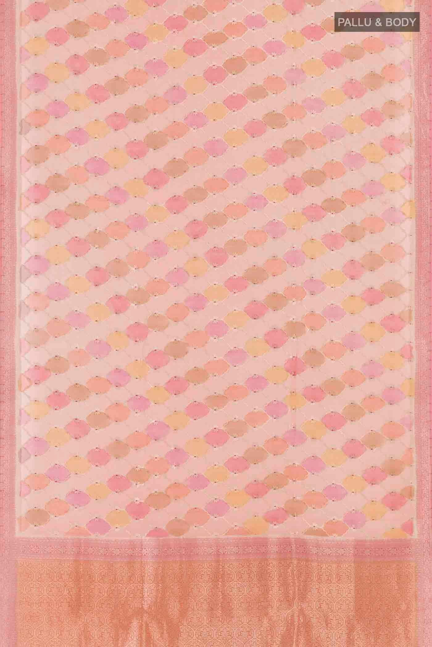 pallu body