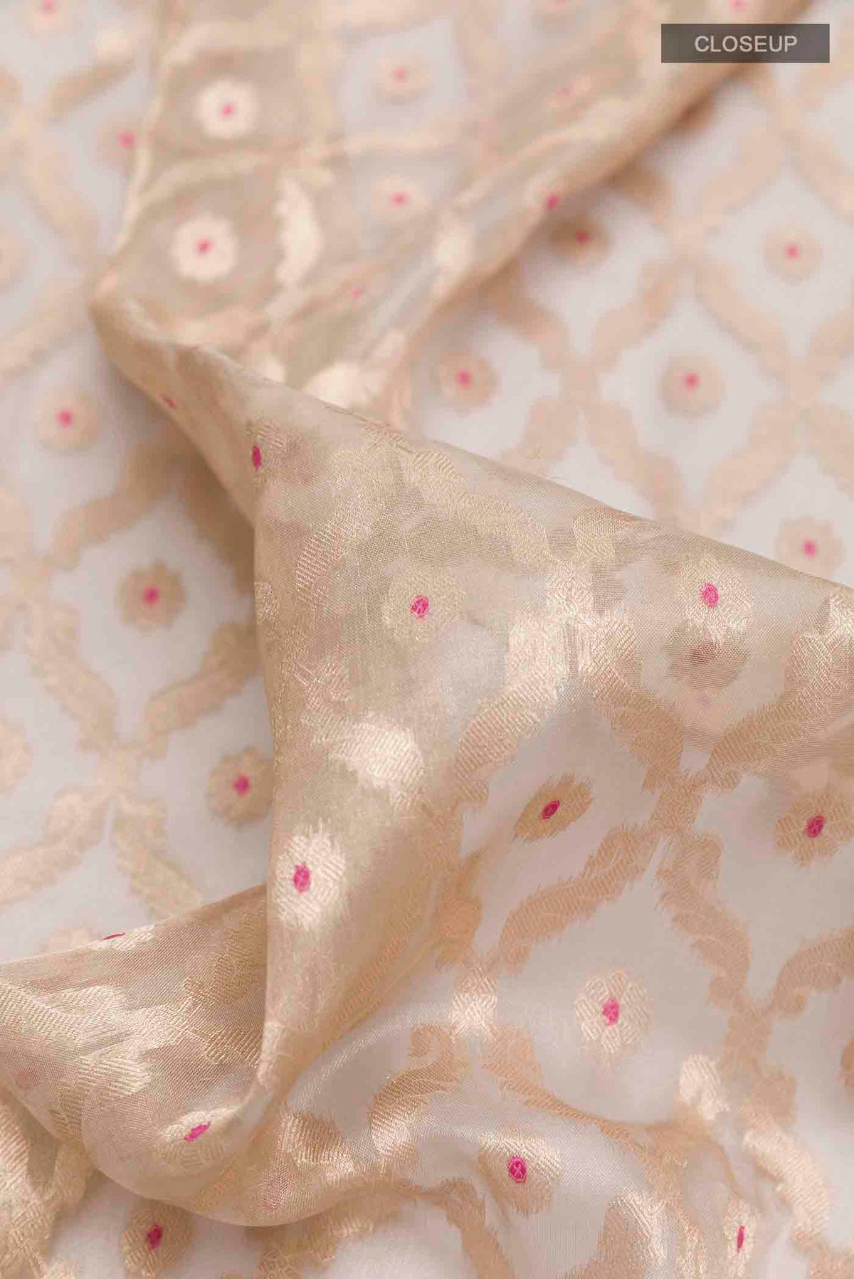 Close up of Beige Organza Silk Saree with Zari Brocade on the body and Zari Border displaying folds