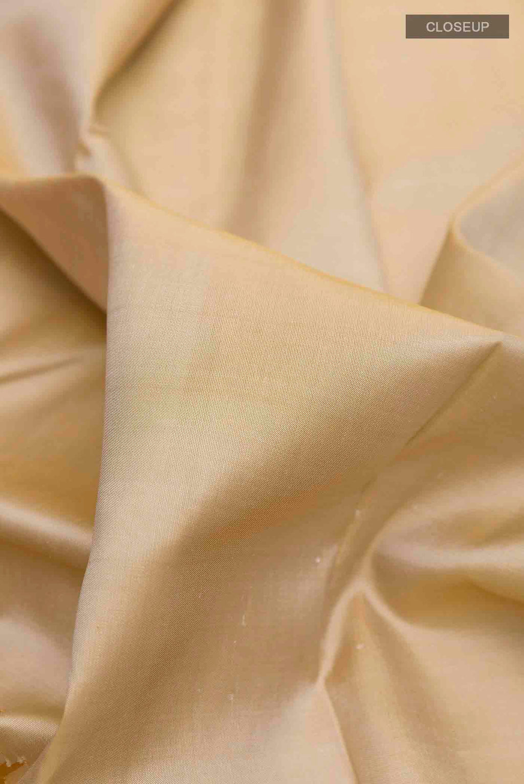 Close up of Beige Kanchipuram Silk Saree with Plain Body and Rising Temple Border displaying folds