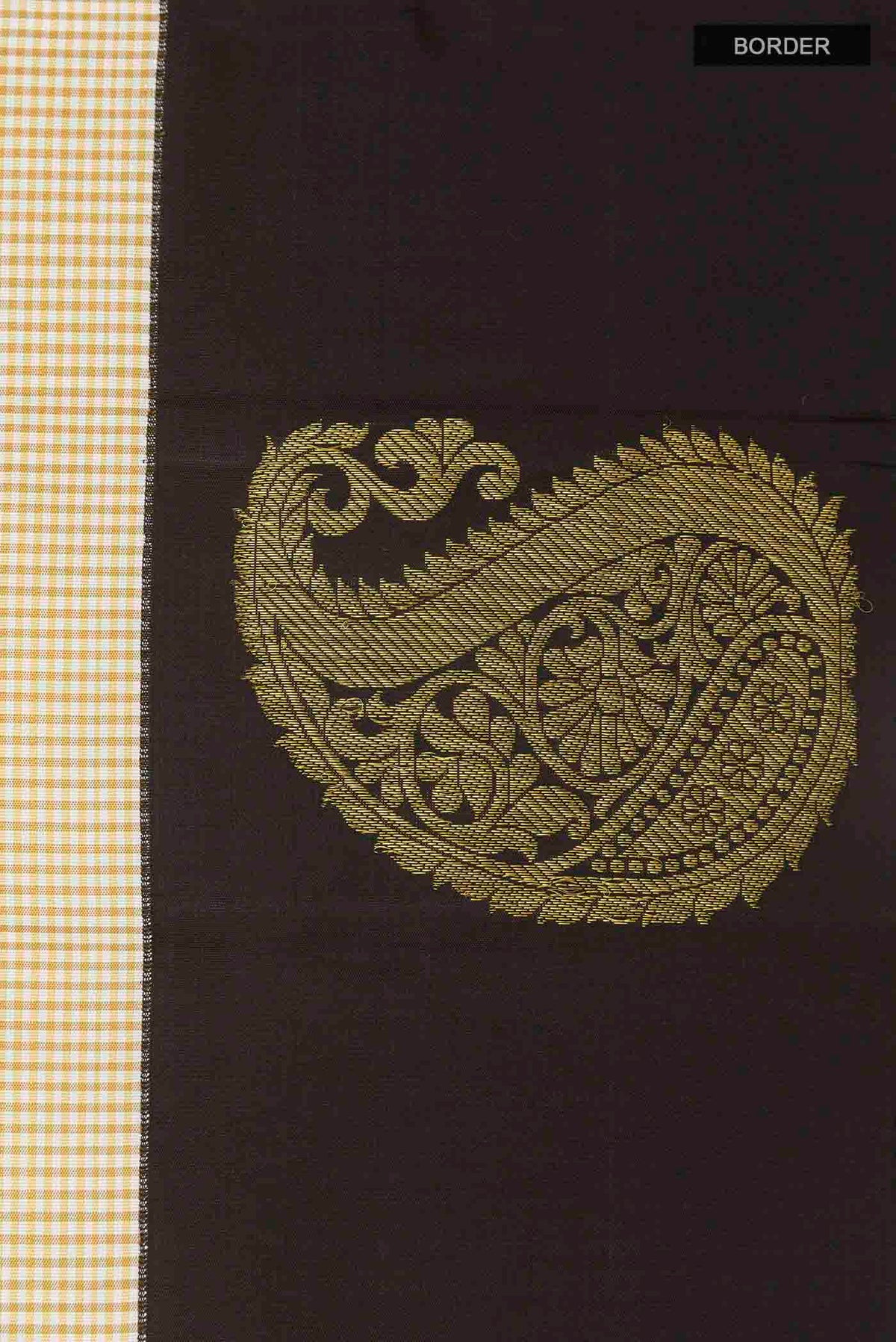 Border image of Off White Kanchipuram Silk Saree with Checked design on the body and Zari Border