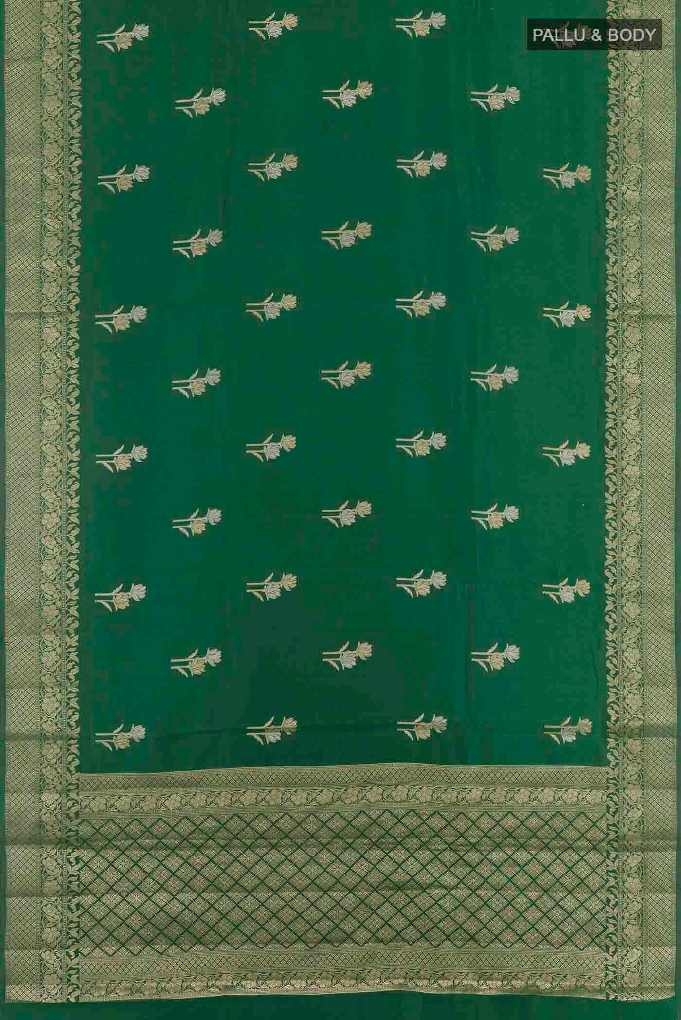 pallu body