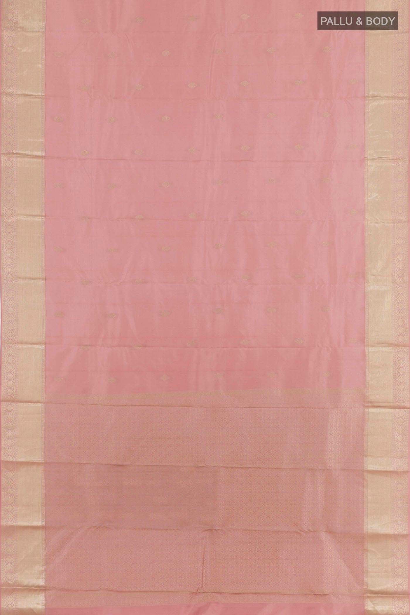 pallu body