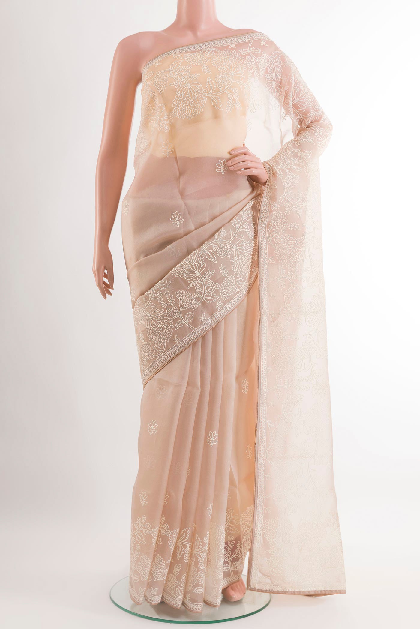 Beige Organza Silk Saree with Embroidery on the body and Embroidery Border.  displayed on a mannequin