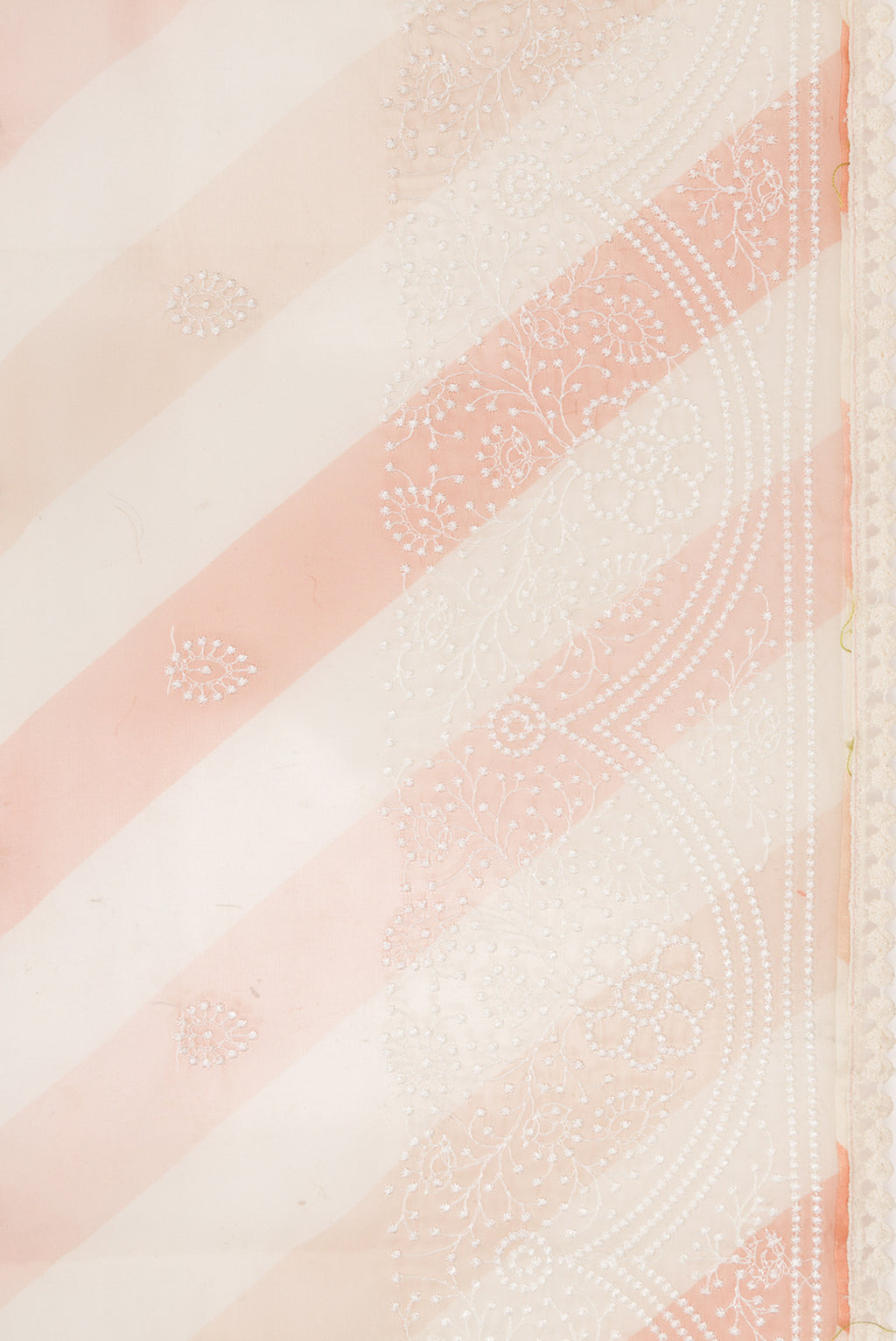 Border image of Beige and Maroon Color Organza Silk Saree with Embroidery on the body and Embroidery Border. 