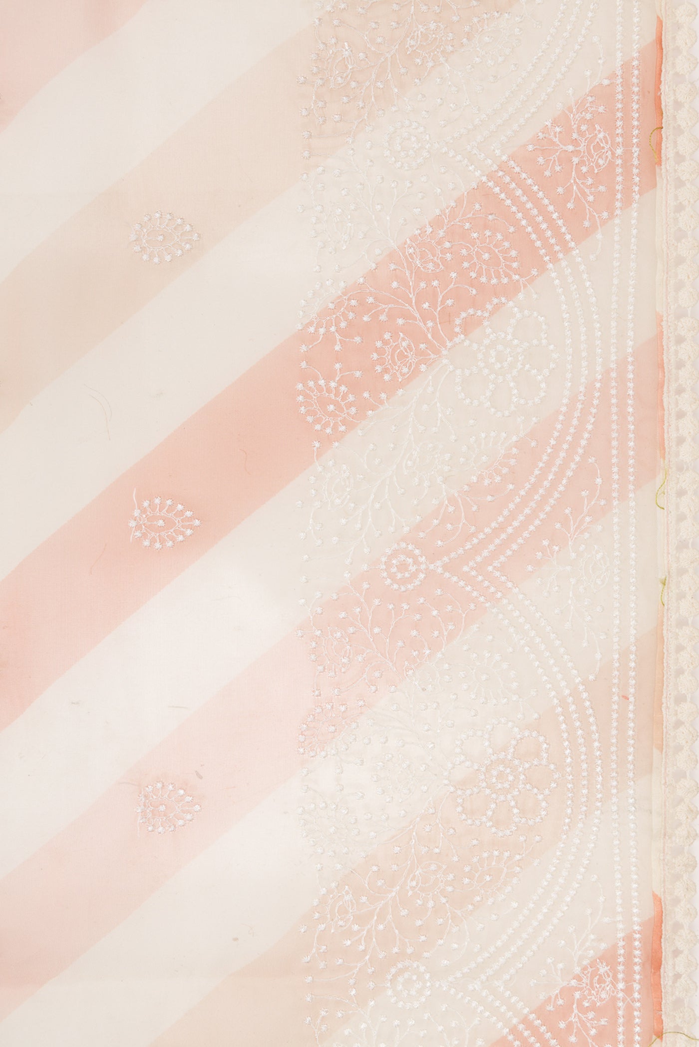 Border image of Beige and Maroon Color Organza Silk Saree with Embroidery on the body and Embroidery Border. 
