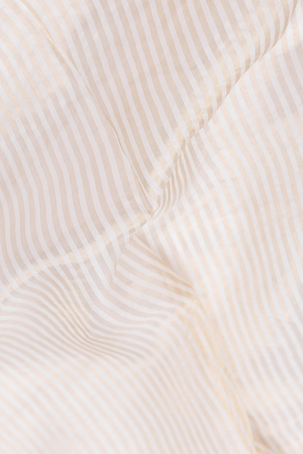 Close up of Beige Dual Tone Organza Silk Saree with Stripes on the body and Embroidery Border.  displaying folds