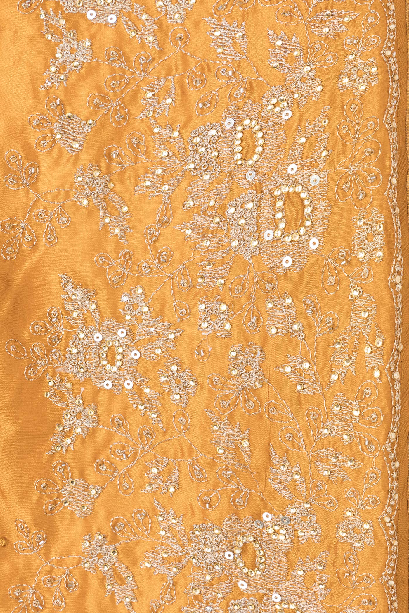 Border image of Mustard Dual Tone Tussar Silk Saree with Embroidery on the body and Embroidery Border. 