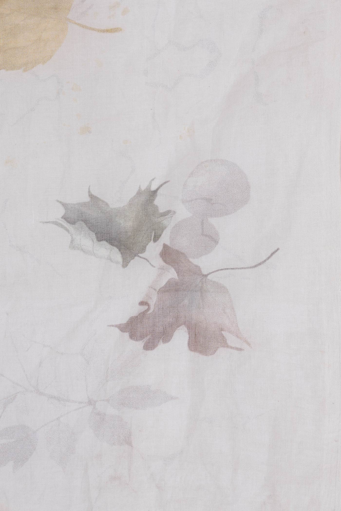 Border image of Off White Dual Tone Linen Saree with Printed design on the body and Without Border. 