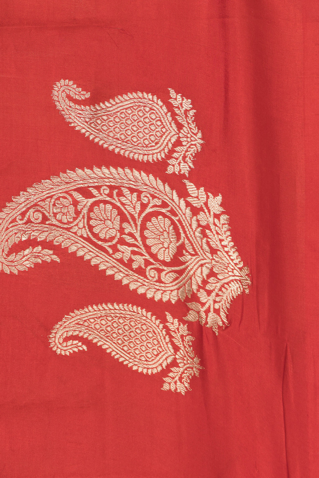 Border image of Red Dual Tone Tussar Silk Saree with Zari Butta on the body and Without Border. 