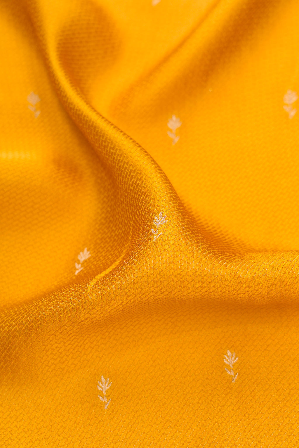 Close up of Mustard Dual Tone Mysore Crepe Saree with Zari Butta on the body and Fancy Border.  displaying folds