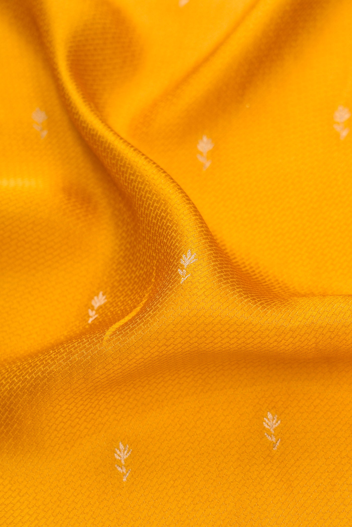 Close up of Mustard Dual Tone Mysore Crepe Saree with Zari Butta on the body and Fancy Border.  displaying folds