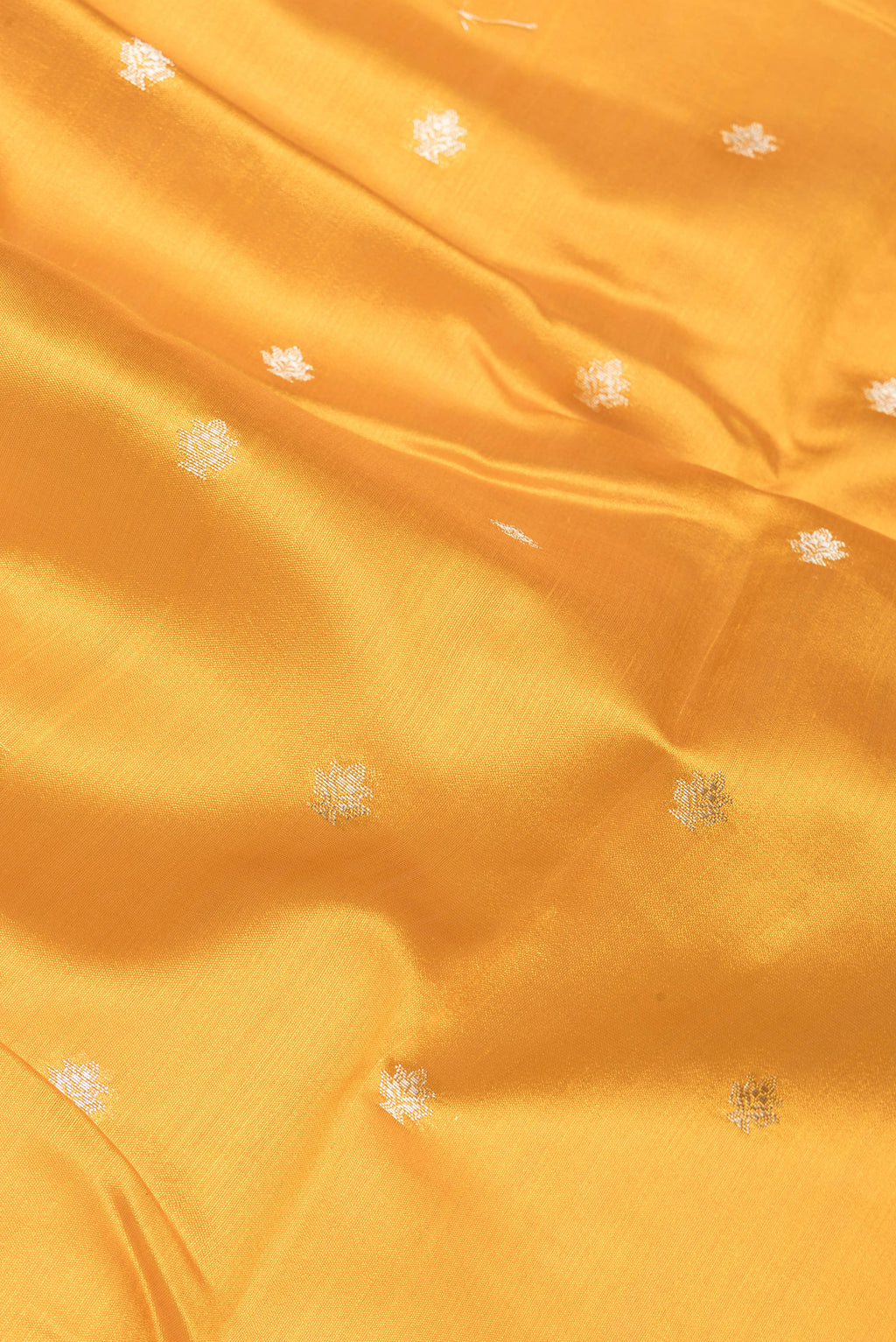 Close up of Mustard Tussar Silk Saree with Zari Butta on the body and Fancy Border.  displaying folds