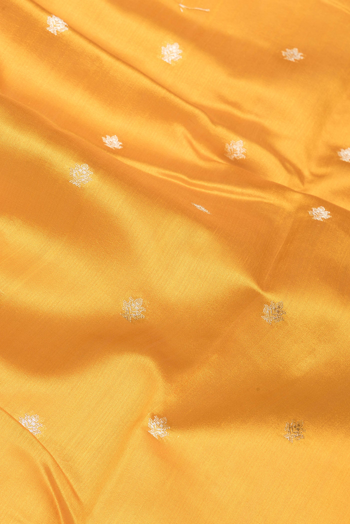 Close up of Mustard Tussar Silk Saree with Zari Butta on the body and Fancy Border.  displaying folds