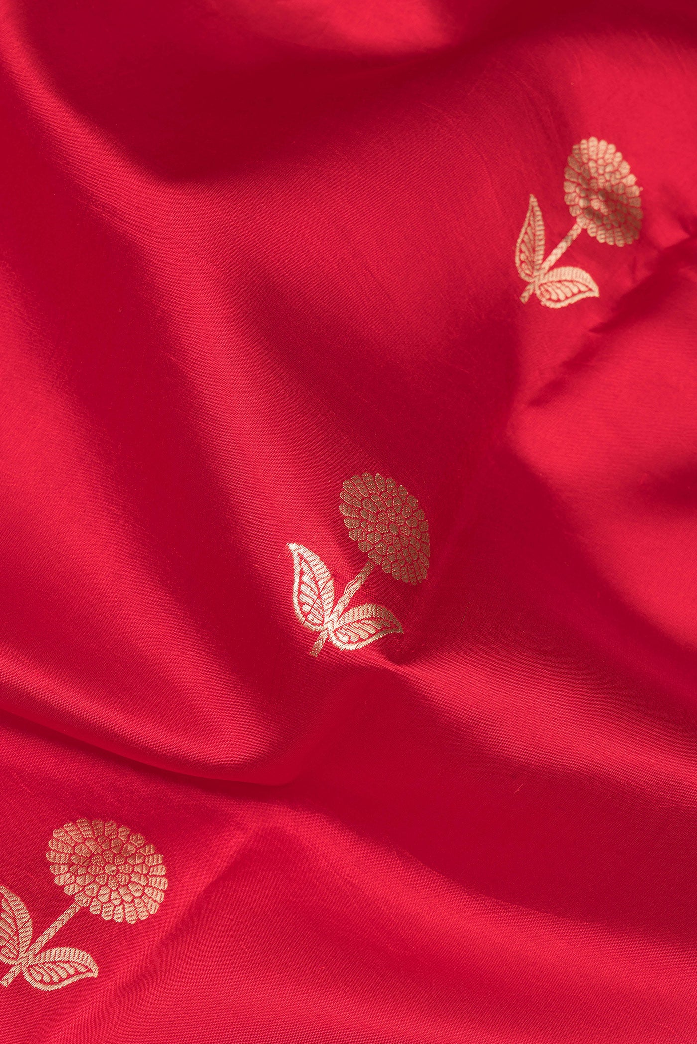 Close up of Red Tussar Silk Saree with Zari Butta on the body and Zari Border.  displaying folds