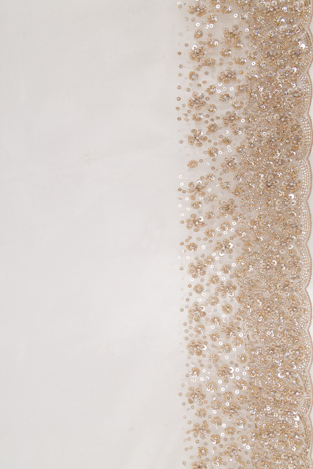 Border image of Beige Dual Tone Organza Silk Saree with Plain Body and Embroidery Border. 
