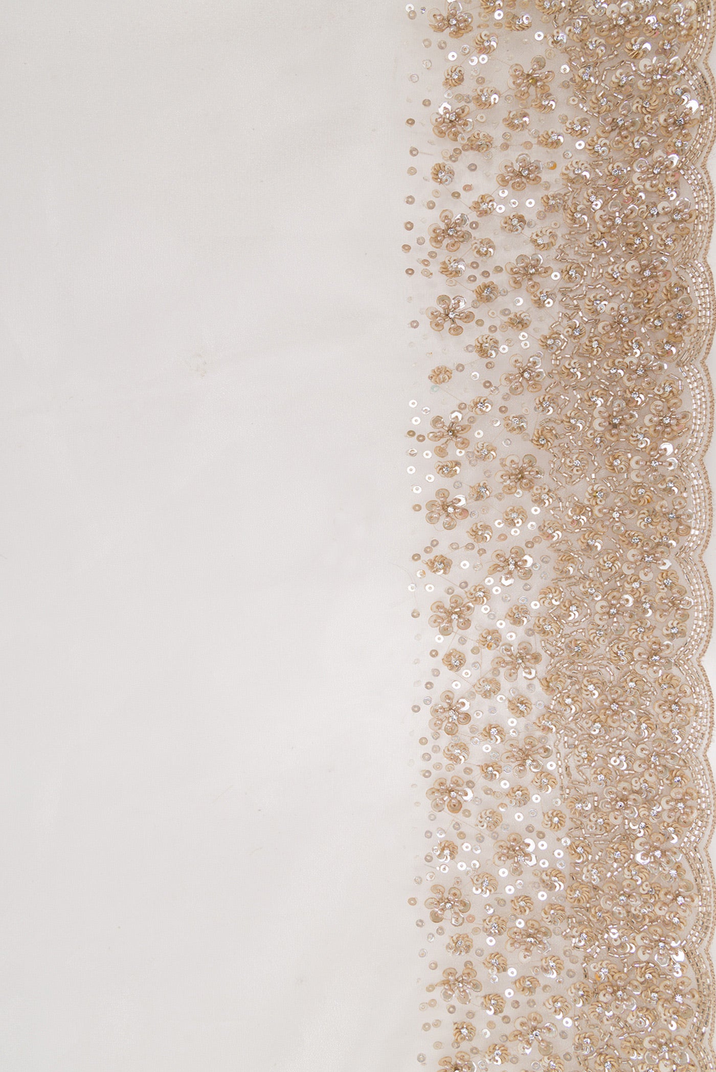Border image of Beige Dual Tone Organza Silk Saree with Plain Body and Embroidery Border. 