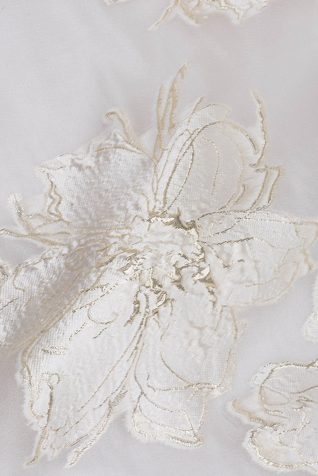Close up of Off White Organza Silk Saree with Zari Brocade on the body and Embroidery Border.  displaying folds