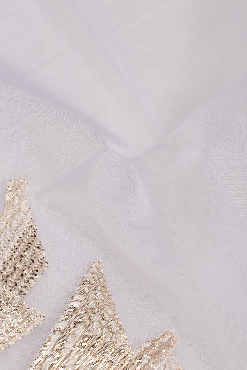 Close up of Beige Organza Silk Saree with Fancy on the body and Sequin Border.  displaying folds