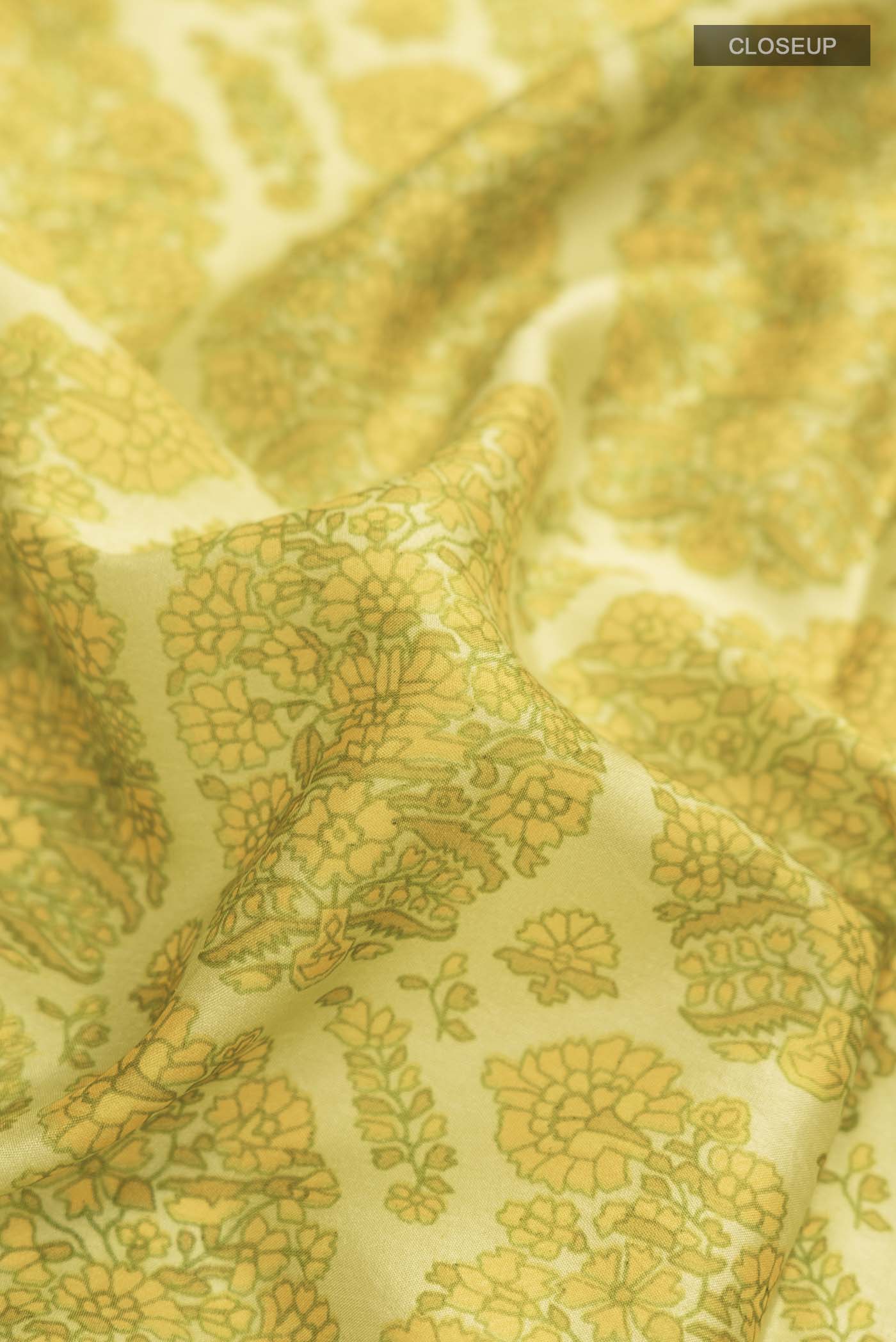 Close up of Green Printed Silk SareePrinted design on the body and Plain Border displaying folds