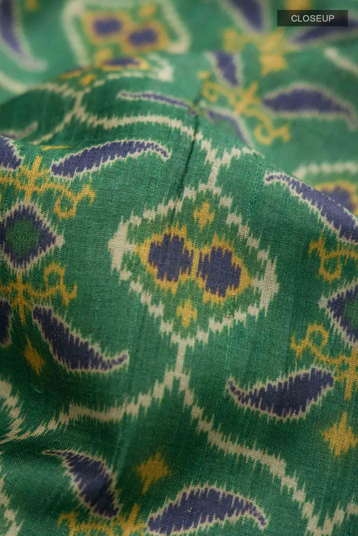 Close up of Green Tussar Silk SareePrinted design on the body and Thread Border displaying folds