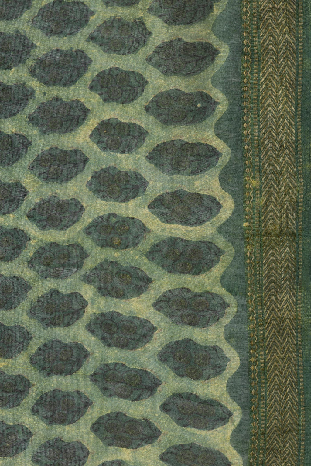 Border image of Green Dual Tone Chanderi Silk Saree with Printed design on the body and Zari Border. 