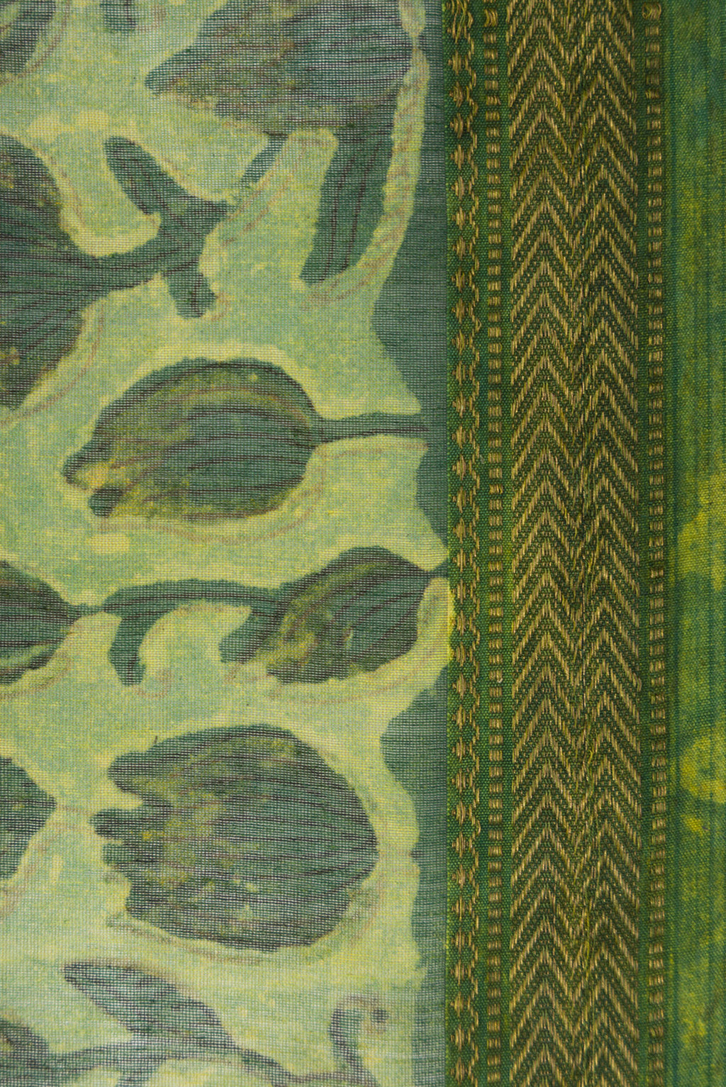 Border image of Green Dual Tone Tussar Silk Saree with Printed design on the body and Zari Border. 