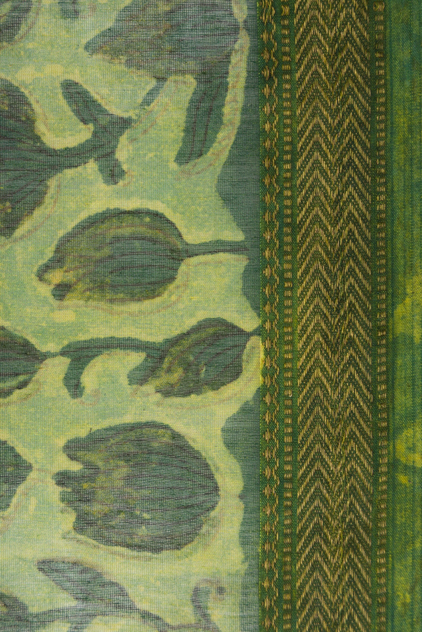 Border image of Green Dual Tone Tussar Silk Saree with Printed design on the body and Zari Border. 
