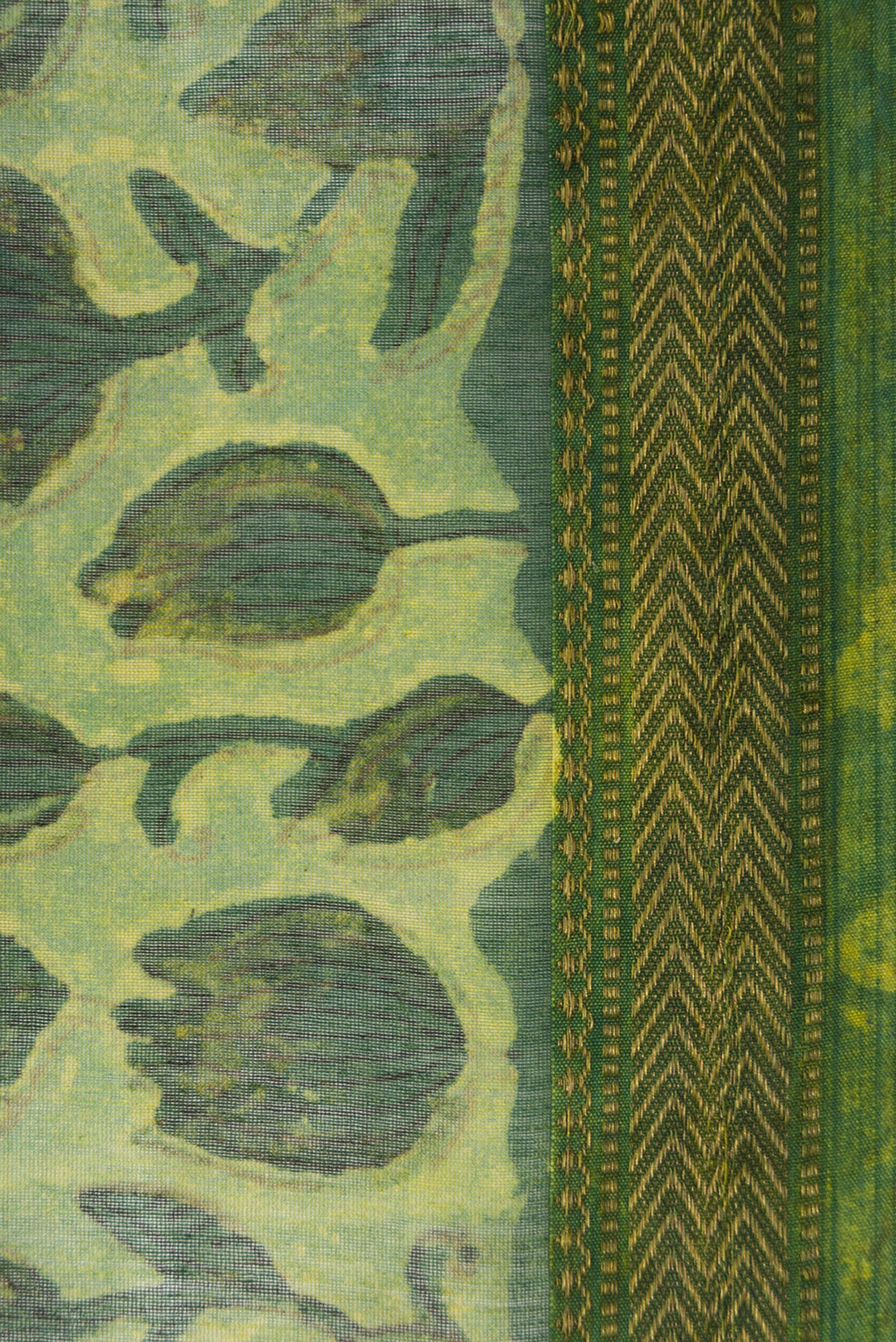 Border image of Green Dual Tone Tussar Silk Saree with Printed design on the body and Zari Border. 