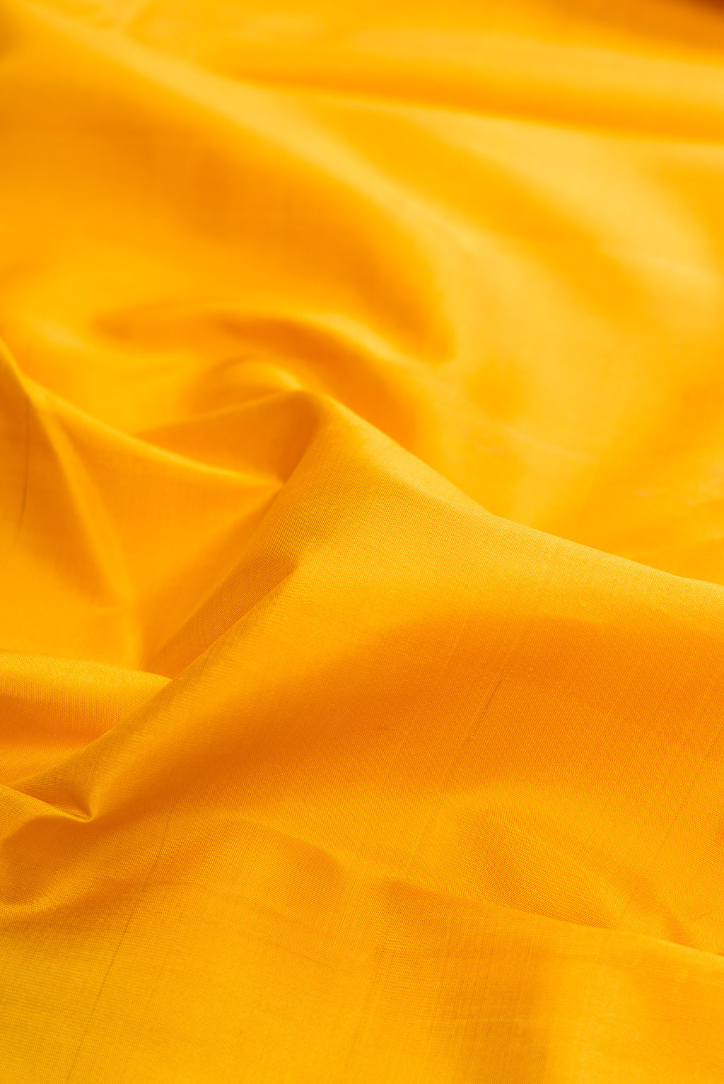 Close up of Pure Silk Pure Zari Mustard Kanjivaram Saree with Plain Body and Ganga Jamuna Border.  displaying folds