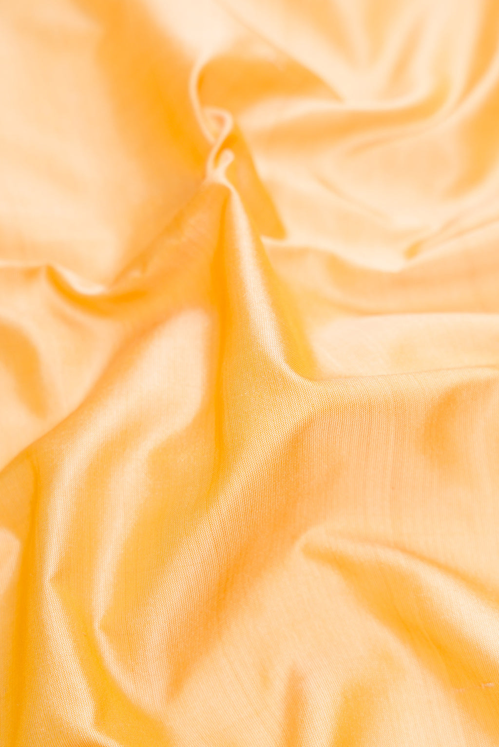 Close up of Sandal Kanchipuram Silk Saree with Plain Body and Thread Border.  displaying folds
