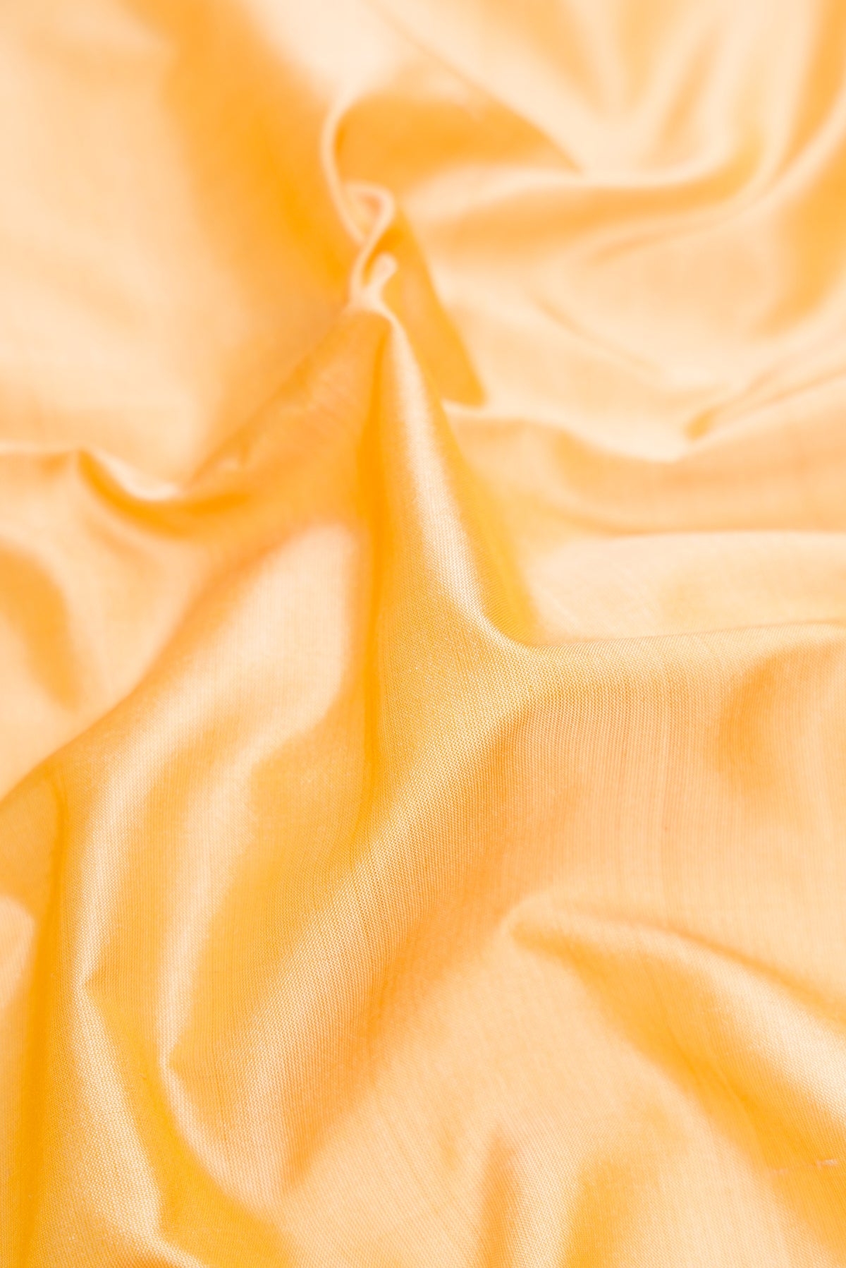 Close up of Sandal Kanchipuram Silk Saree with Plain Body and Thread Border.  displaying folds