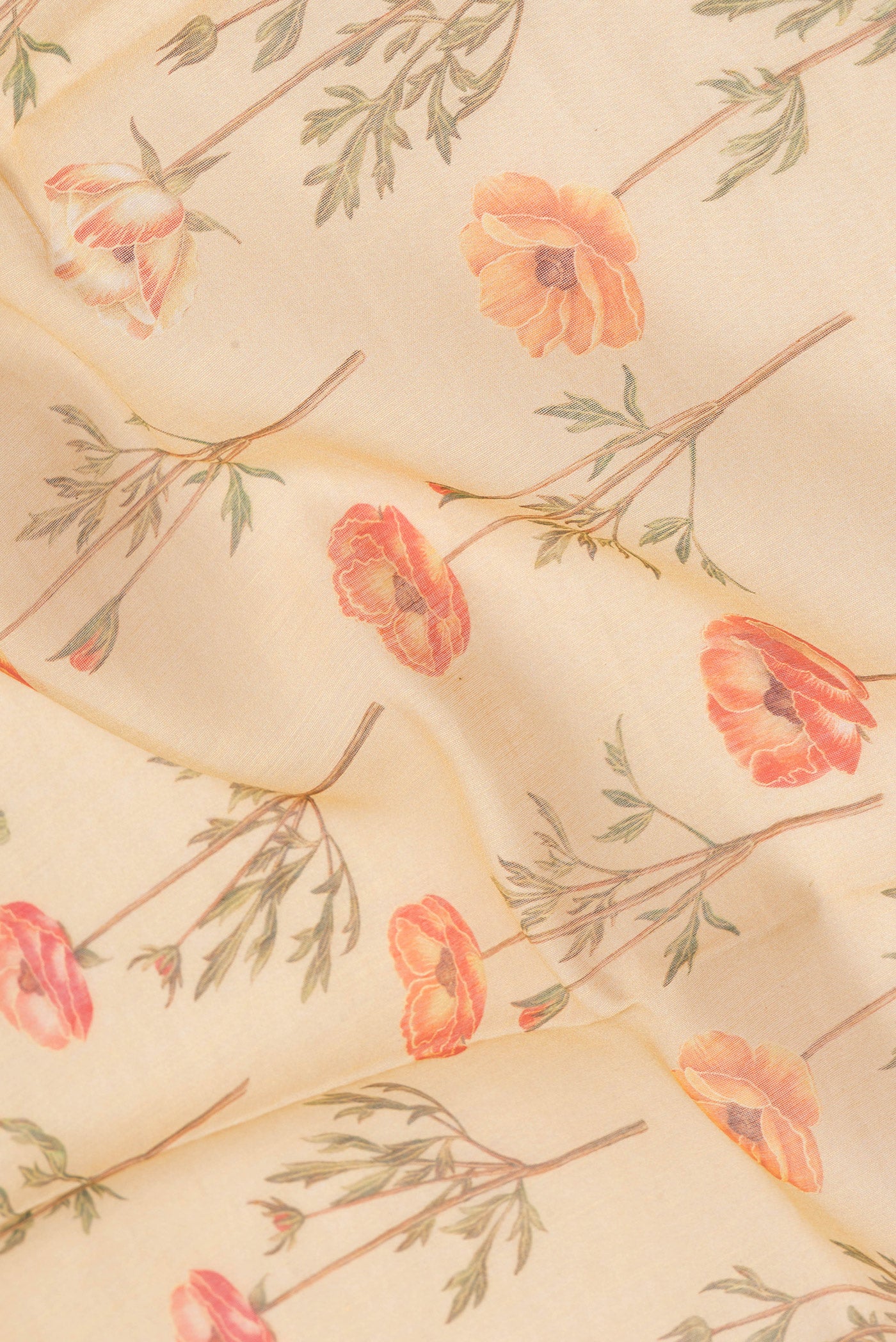 Close up of Sandal Dual Tone Chanderi Silk Saree with Printed design on the body and Embroidery Border.  displaying folds