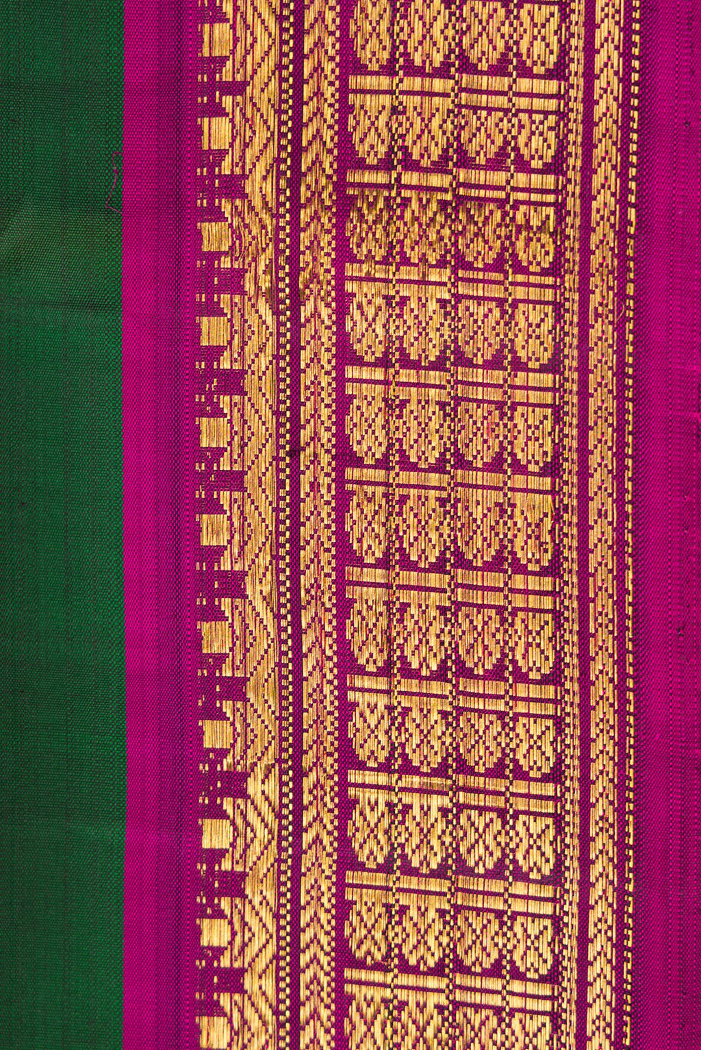 Border image of Pure Silk Pure Zari Bottle Green Dual Tone Kanjivaram Nine Yards Saree with Plain Body and Zari Border. 