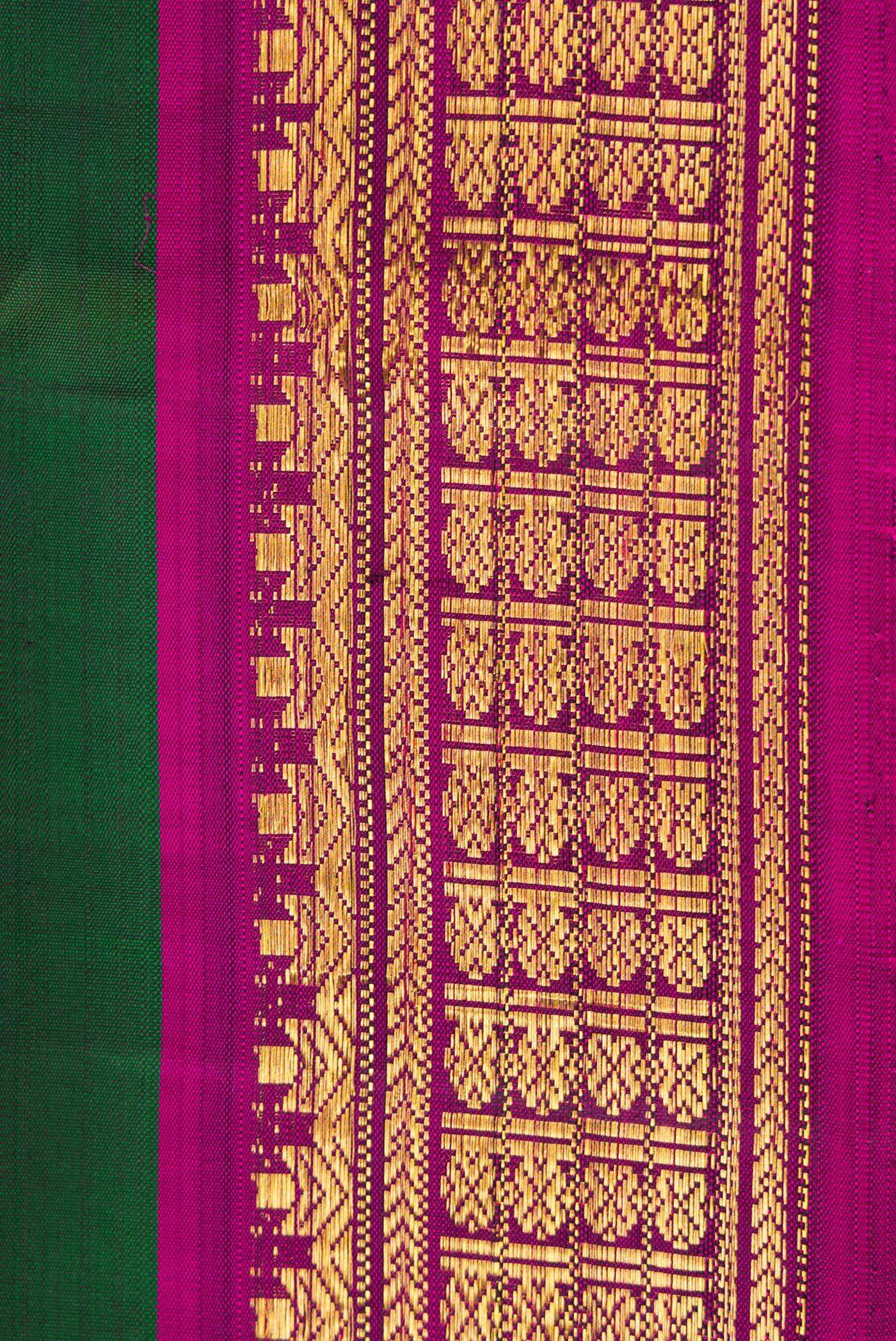 Border image of Pure Silk Pure Zari Bottle Green Dual Tone Kanjivaram Nine Yards Saree with Plain Body and Zari Border. 