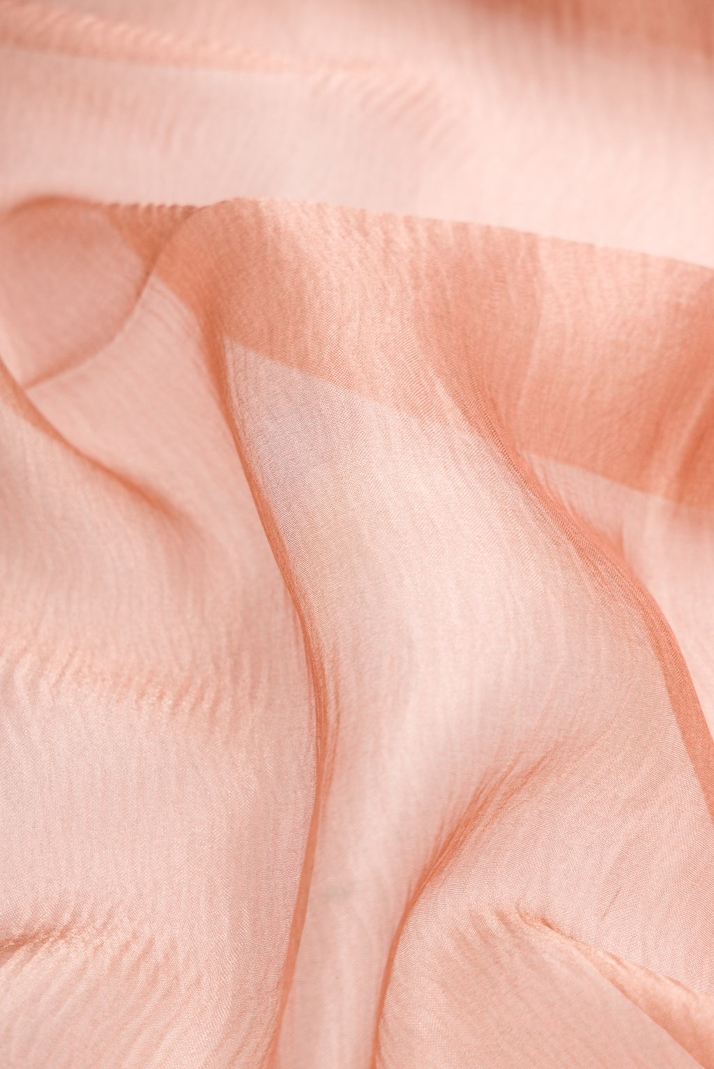 Close up of Rose Gold Dual Tone Organza Silk Saree with Plain Body and Embroidery Border.  displaying folds