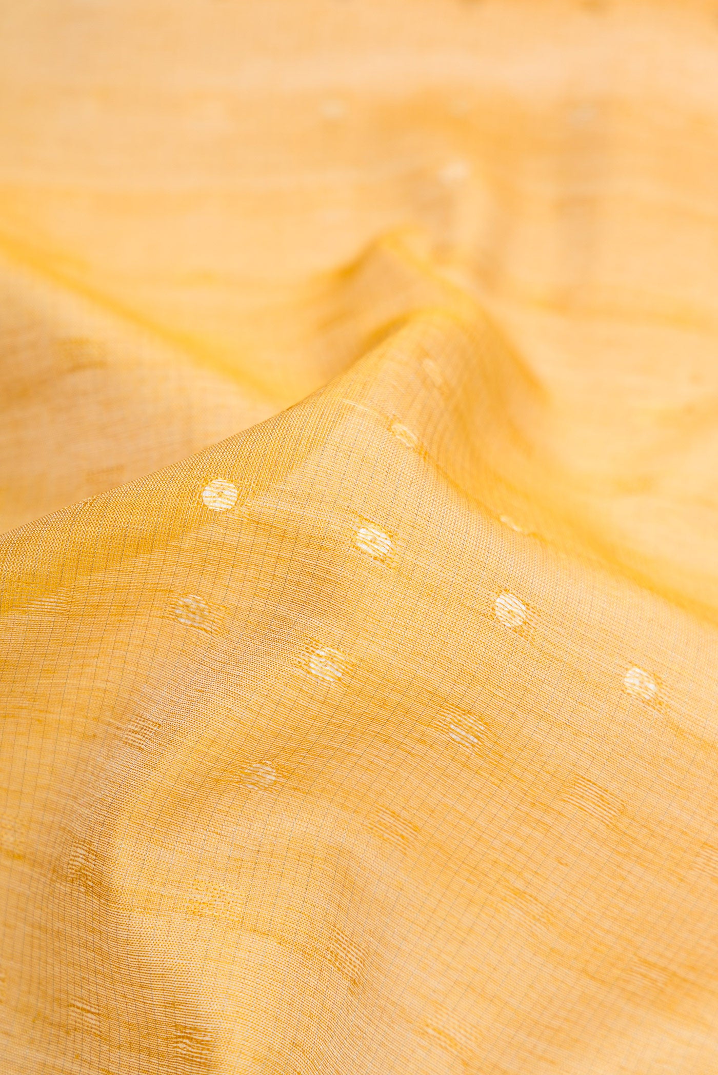 Close up of Gold Dual Tone Tussar Silk Saree with Zari Butta on the body and Embroidery Border.  displaying folds
