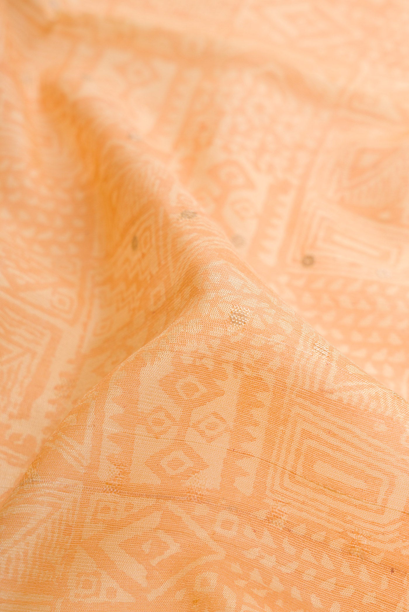Close up of Beige Dual Tone Organza Silk Saree with Printed design on the body and Embroidery Border.  displaying folds