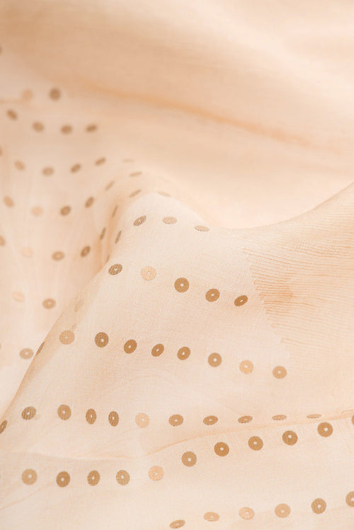 Close up of Beige Dual Tone Tussar Silk Saree with Embroidery on the body and Without Border displaying folds