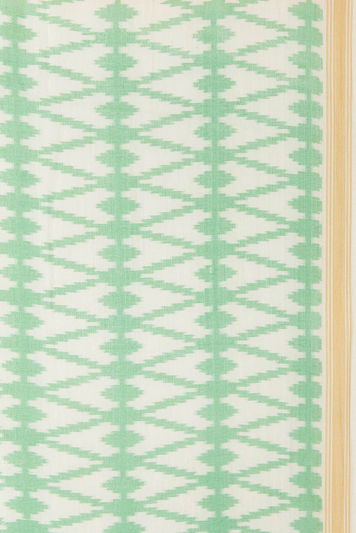 Border image of Green Dual Tone Tussar Silk Saree with Printed design on the body and Thread Border