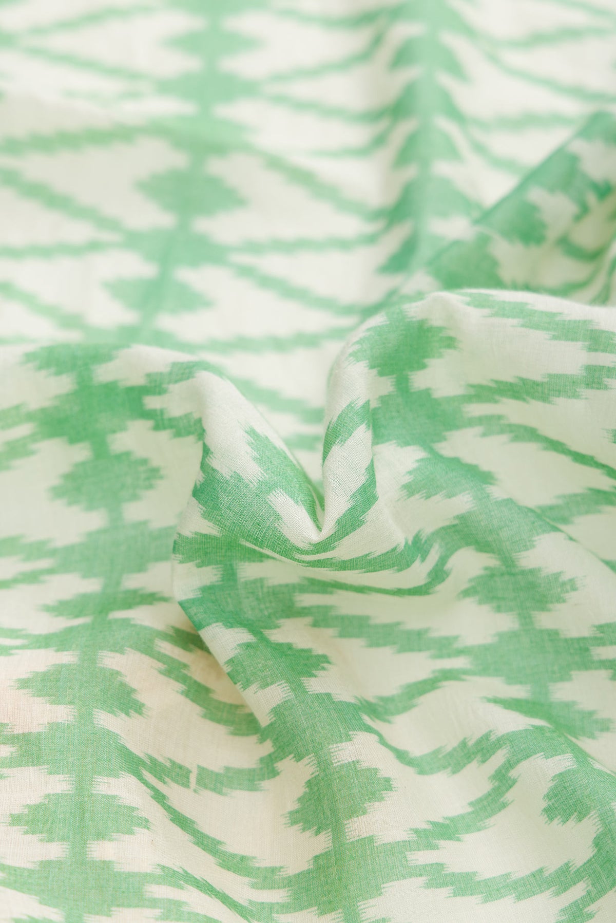 Close up of Green Dual Tone Tussar Silk Saree with Printed design on the body and Thread Border displaying folds