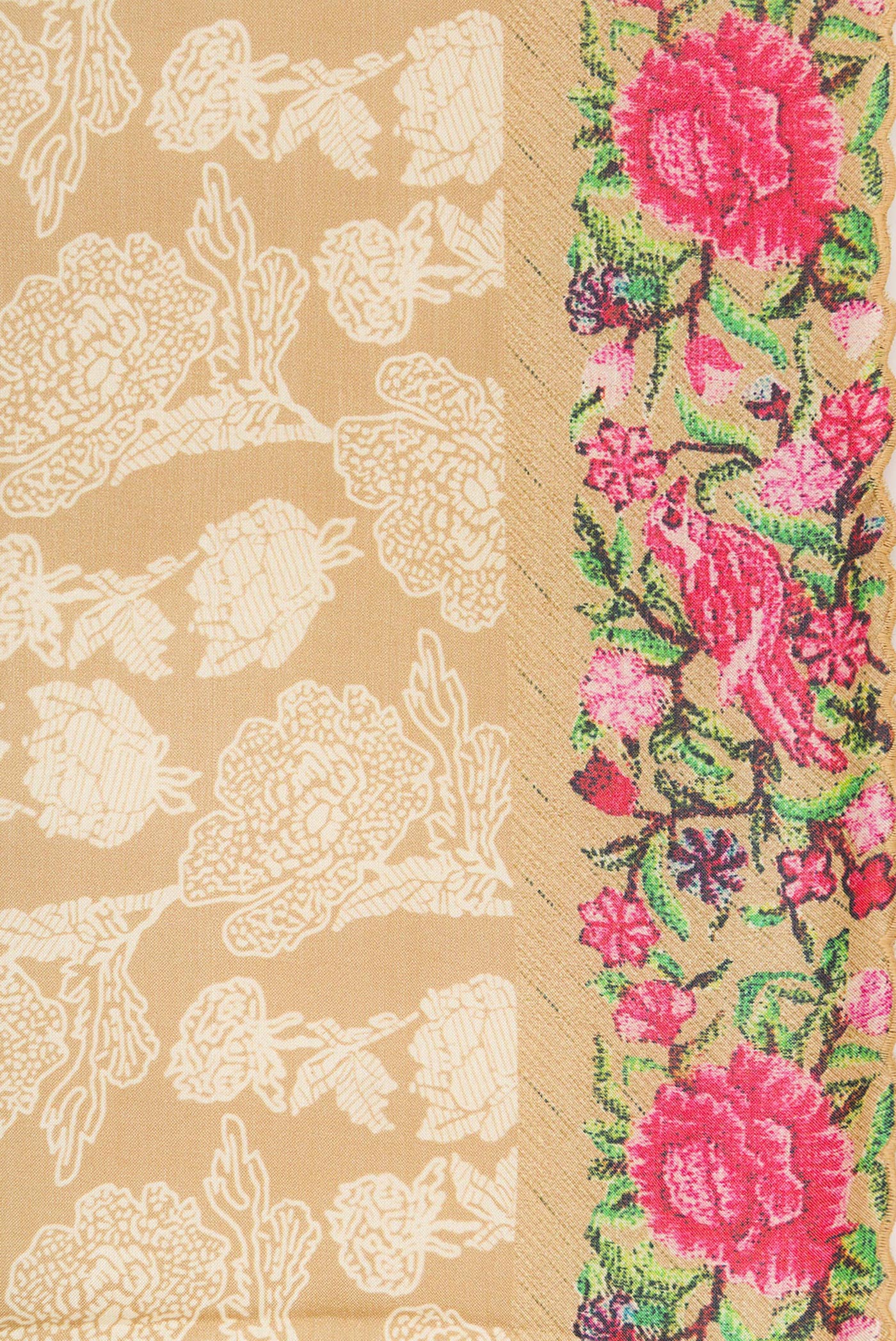 Border image of Beige Dual Tone Tussar Silk Saree with Printed design on the body and Printed Border. 