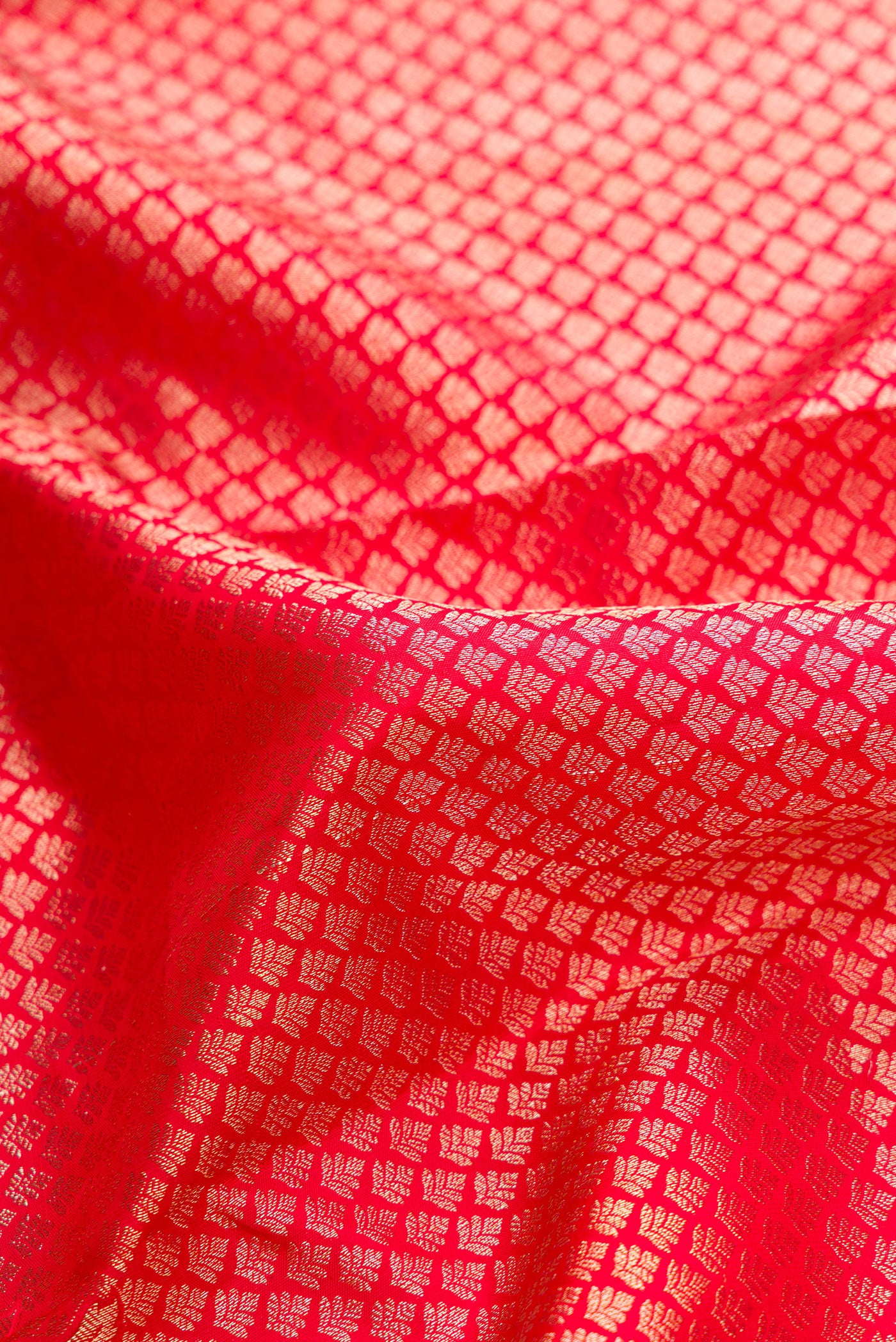 Close up of Red Dual Tone Kanjivaram Silk Saree with Zari Brocade on the body and Fancy Border.  displaying folds